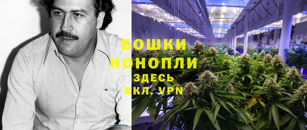 ПСИЛОЦИБИНОВЫЕ ГРИБЫ Тихвин