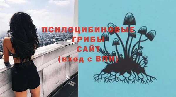 Альфа ПВП Верхний Тагил