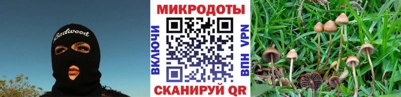 где можно купить   Карталы  Псилоцибиновые грибы MAGIC MUSHROOMS 
